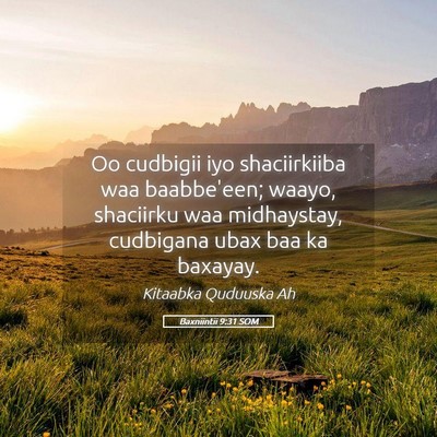 Picture 05 - Baxniintii 9:31 SOM - Oo cudbigii iyo shaciirkiiba waa baabbe'een; - Bible Verse Picture