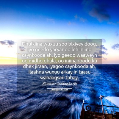 Picture 05 - Bilowgii 1:12 SOM - Dhulkiina wuxuu soo bixiyey doog, iyo geedo - Bible Verse Picture