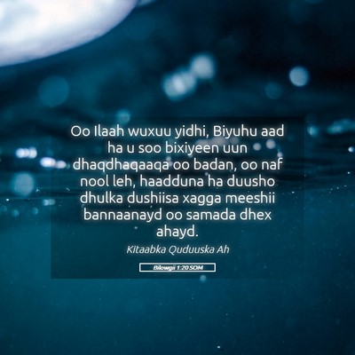 Picture 05 - Bilowgii 1:20 SOM - Oo Ilaah wuxuu yidhi, Biyuhu aad ha u soo - Bible Verse Picture