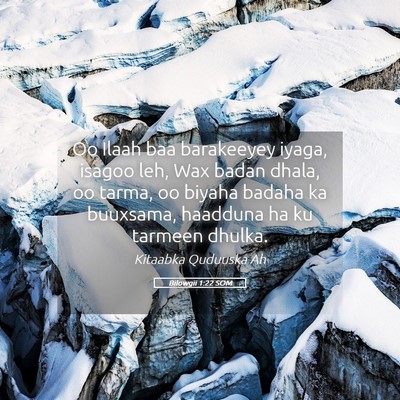 Picture 05 - Bilowgii 1:22 SOM - Oo Ilaah baa barakeeyey iyaga, isagoo leh, Wax - Bible Verse Picture