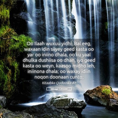 Picture 05 - Bilowgii 1:29 SOM - Oo Ilaah wuxuu yidhi, Bal eeg, waxaan idin siiyey - Bible Verse Picture