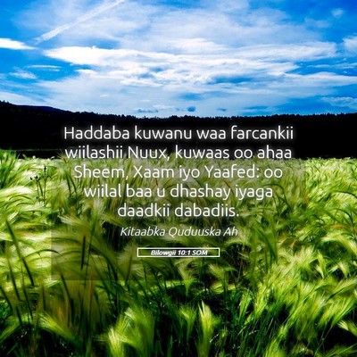 Picture 05 - Bilowgii 10:1 SOM - Haddaba kuwanu waa farcankii wiilashii Nuux, - Bible Verse Picture