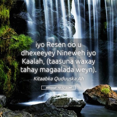 Picture 05 - Bilowgii 10:12 SOM - iyo Resen oo u dhexeeyey Nineweh iyo Kaalah, - Bible Verse Picture