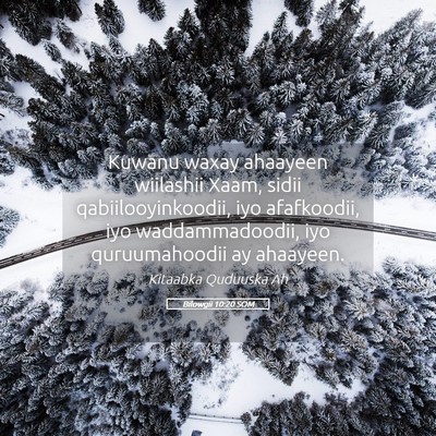 Picture 05 - Bilowgii 10:20 SOM - Kuwanu waxay ahaayeen wiilashii Xaam, sidii - Bible Verse Picture