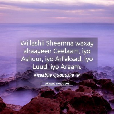 Picture 05 - Bilowgii 10:22 SOM - Wiilashii Sheemna waxay ahaayeen Ceelaam, iyo - Bible Verse Picture