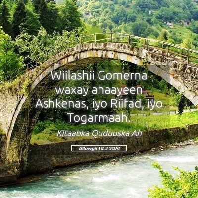 Picture 05 - Bilowgii 10:3 SOM - Wiilashii Gomerna waxay ahaayeen Ashkenas, iyo - Bible Verse Picture