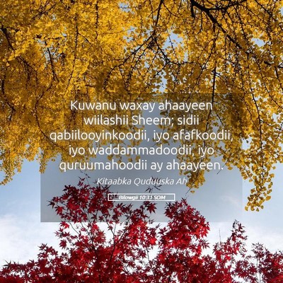 Picture 05 - Bilowgii 10:31 SOM - Kuwanu waxay ahaayeen wiilashii Sheem; sidii - Bible Verse Picture