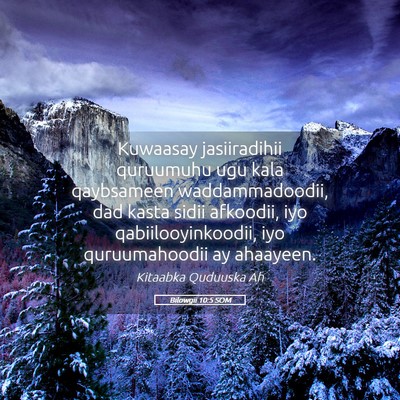 Picture 05 - Bilowgii 10:5 SOM - Kuwaasay jasiiradihii quruumuhu ugu kala - Bible Verse Picture