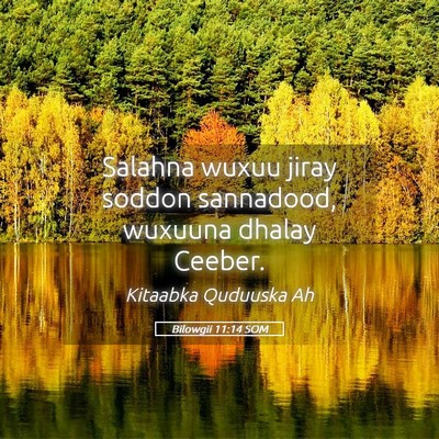 Picture 05 - Bilowgii 11:14 SOM - Salahna wuxuu jiray soddon sannadood, wuxuuna - Bible Verse Picture