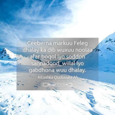 Picture 05 - Bilowgii 11:17 SOM - Ceeberna markuu Feleg dhalay ka dib wuxuu noolaa - Bible Verse Picture