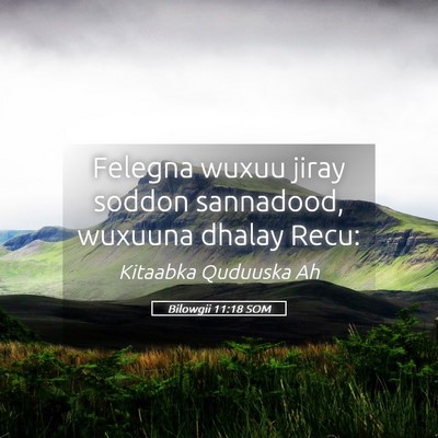 Picture 05 - Bilowgii 11:18 SOM - Felegna wuxuu jiray soddon sannadood, wuxuuna - Bible Verse Picture