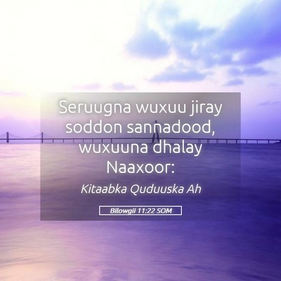 Picture 05 - Bilowgii 11:22 SOM - Seruugna wuxuu jiray soddon sannadood, wuxuuna - Bible Verse Picture