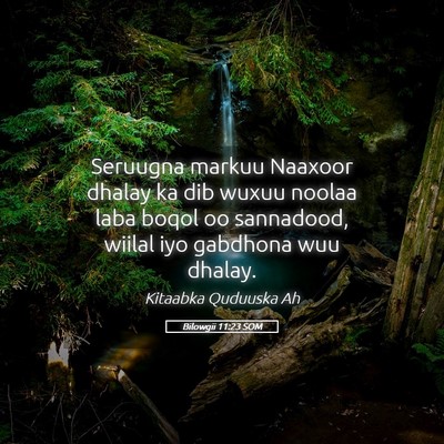 Picture 05 - Bilowgii 11:23 SOM - Seruugna markuu Naaxoor dhalay ka dib wuxuu - Bible Verse Picture