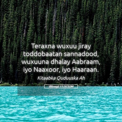 Picture 05 - Bilowgii 11:26 SOM - Teraxna wuxuu jiray toddobaatan sannadood, - Bible Verse Picture