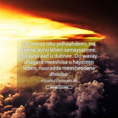 Picture 05 - Bilowgii 11:3 SOM - Oo waxay isku yidhaahdeen, Ina keena, aynu leben - Bible Verse Picture