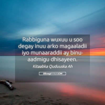 Picture 05 - Bilowgii 11:5 SOM - Rabbiguna wuxuu u soo degay inuu arko magaaladii - Bible Verse Picture