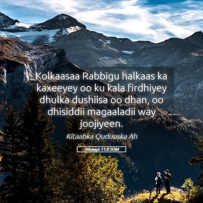 Picture 05 - Bilowgii 11:8 SOM - Kolkaasaa Rabbigu halkaas ka kaxeeyey oo ku kala - Bible Verse Picture