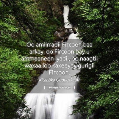 Picture 05 - Bilowgii 12:15 SOM - Oo amiirradii Fircoon baa arkay, oo Fircoon bay u - Bible Verse Picture