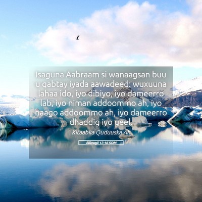 Picture 05 - Bilowgii 12:16 SOM - Isaguna Aabraam si wanaagsan buu u qabtay iyada - Bible Verse Picture