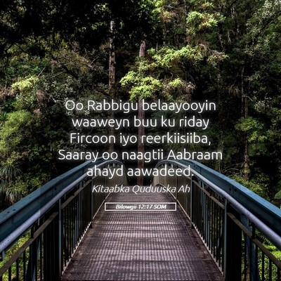 Picture 05 - Bilowgii 12:17 SOM - Oo Rabbigu belaayooyin waaweyn buu ku riday - Bible Verse Picture