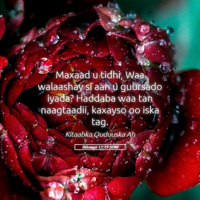Picture 05 - Bilowgii 12:19 SOM - Maxaad u tidhi, Waa walaashay si aan u guursado - Bible Verse Picture