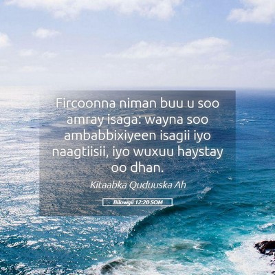Picture 05 - Bilowgii 12:20 SOM - Fircoonna niman buu u soo amray isaga: wayna soo - Bible Verse Picture