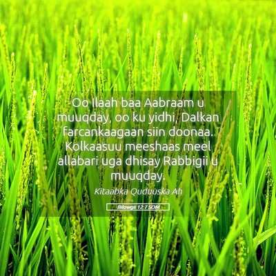 Picture 05 - Bilowgii 12:7 SOM - Oo Ilaah baa Aabraam u muuqday, oo ku yidhi, - Bible Verse Picture