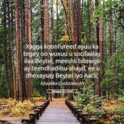 Picture 05 - Bilowgii 13:3 SOM - Xagga koonfureed ayuu ka tegey oo wuxuu u - Bible Verse Picture