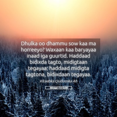 Picture 05 - Bilowgii 13:9 SOM - Dhulka oo dhammu sow kaa ma horreeyo? Waxaan kaa - Bible Verse Picture