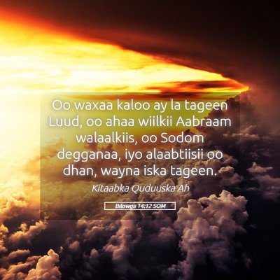 Picture 05 - Bilowgii 14:12 SOM - Oo waxaa kaloo ay la tageen Luud, oo ahaa wiilkii - Bible Verse Picture