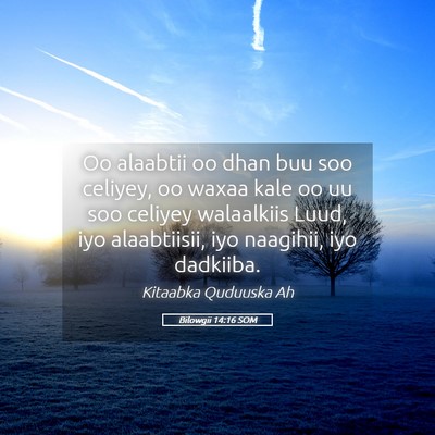 Picture 05 - Bilowgii 14:16 SOM - Oo alaabtii oo dhan buu soo celiyey, oo waxaa - Bible Verse Picture
