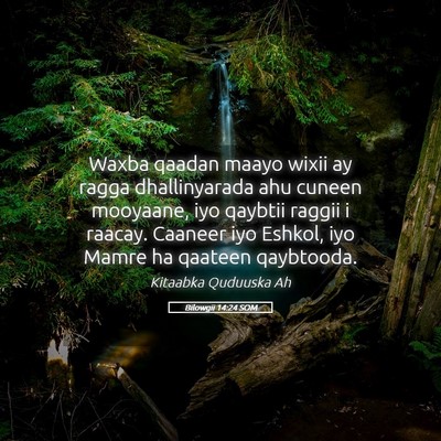 Picture 05 - Bilowgii 14:24 SOM - Waxba qaadan maayo wixii ay ragga dhallinyarada - Bible Verse Picture