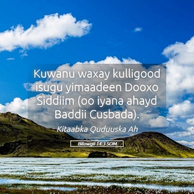 Picture 05 - Bilowgii 14:3 SOM - Kuwanu waxay kulligood isugu yimaadeen Dooxo - Bible Verse Picture