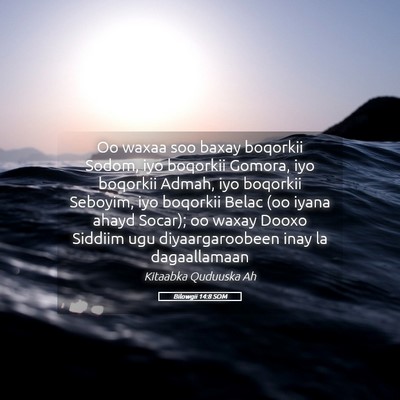 Picture 05 - Bilowgii 14:8 SOM - Oo waxaa soo baxay boqorkii Sodom, iyo boqorkii - Bible Verse Picture