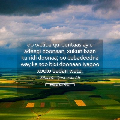 Picture 05 - Bilowgii 15:14 SOM - oo weliba quruuntaas ay u adeegi doonaan, xukun - Bible Verse Picture
