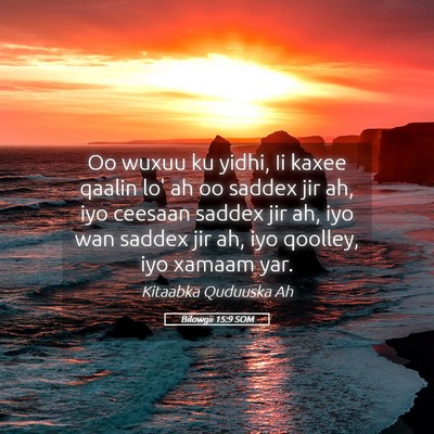 Picture 05 - Bilowgii 15:9 SOM - Oo wuxuu ku yidhi, Ii kaxee qaalin lo' ah oo - Bible Verse Picture