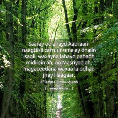 Picture 05 - Bilowgii 16:1 SOM - Saaray oo ahayd Aabraam naagtiisii carruur uma ay - Bible Verse Picture