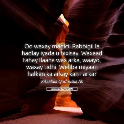 Picture 05 - Bilowgii 16:13 SOM - Oo waxay magicii Rabbigii la hadlay iyada u - Bible Verse Picture