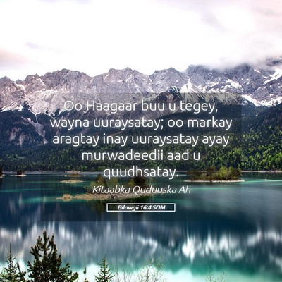 Picture 05 - Bilowgii 16:4 SOM - Oo Haagaar buu u tegey, wayna uuraysatay; oo - Bible Verse Picture