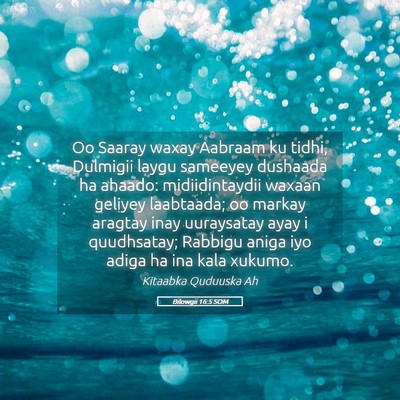 Picture 05 - Bilowgii 16:5 SOM - Oo Saaray waxay Aabraam ku tidhi, Dulmigii laygu - Bible Verse Picture