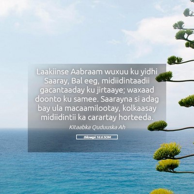 Picture 05 - Bilowgii 16:6 SOM - Laakiinse Aabraam wuxuu ku yidhi Saaray, Bal eeg, - Bible Verse Picture