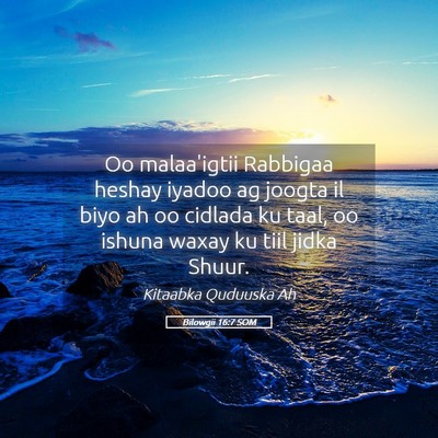 Picture 05 - Bilowgii 16:7 SOM - Oo malaa'igtii Rabbigaa heshay iyadoo ag joogta - Bible Verse Picture
