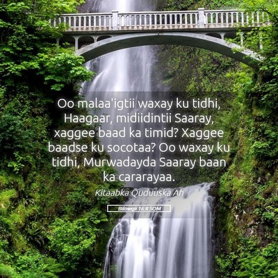 Picture 05 - Bilowgii 16:8 SOM - Oo malaa'igtii waxay ku tidhi, Haagaar, - Bible Verse Picture