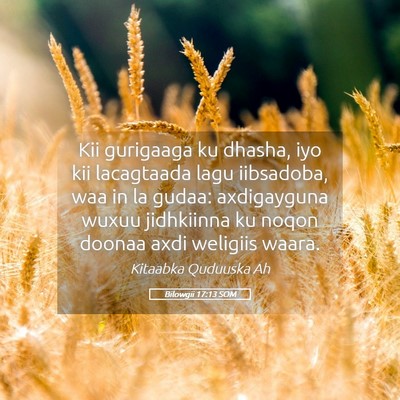 Picture 05 - Bilowgii 17:13 SOM - Kii gurigaaga ku dhasha, iyo kii lacagtaada lagu - Bible Verse Picture