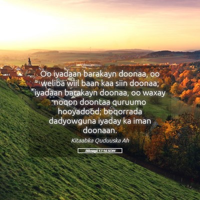 Picture 05 - Bilowgii 17:16 SOM - Oo iyadaan barakayn doonaa, oo weliba wiil baan - Bible Verse Picture