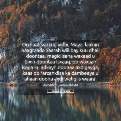 Picture 05 - Bilowgii 17:19 SOM - Oo Ilaah wuxuu yidhi, Maya, laakiin naagtaada - Bible Verse Picture
