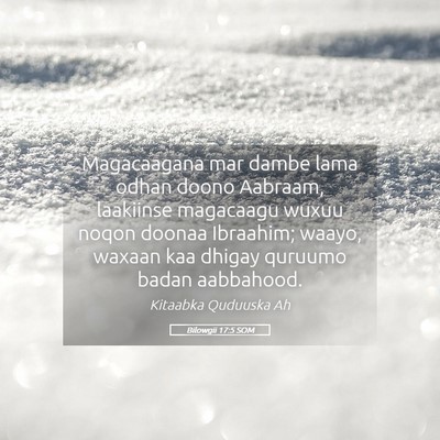Picture 05 - Bilowgii 17:5 SOM - Magacaagana mar dambe lama odhan doono Aabraam, - Bible Verse Picture