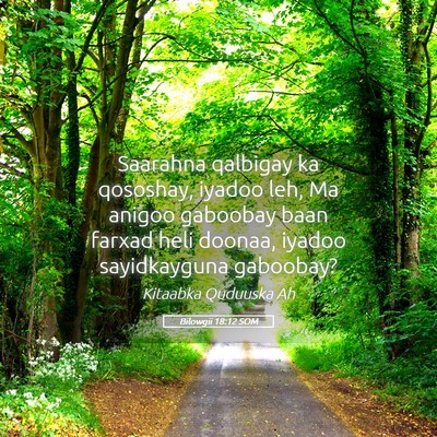 Picture 05 - Bilowgii 18:12 SOM - Saarahna qalbigay ka qososhay, iyadoo leh, Ma - Bible Verse Picture