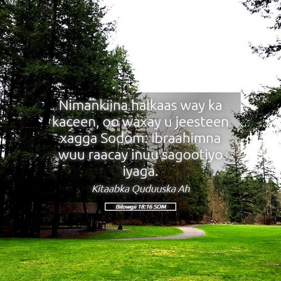 Picture 05 - Bilowgii 18:16 SOM - Nimankiina halkaas way ka kaceen, oo waxay u - Bible Verse Picture