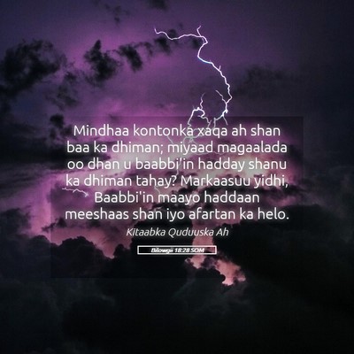 Picture 05 - Bilowgii 18:28 SOM - Mindhaa kontonka xaqa ah shan baa ka dhiman; - Bible Verse Picture